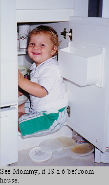 hmmmmmm, do you think I can hide in here?